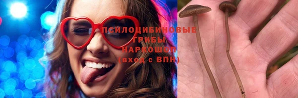 герыч Алексин