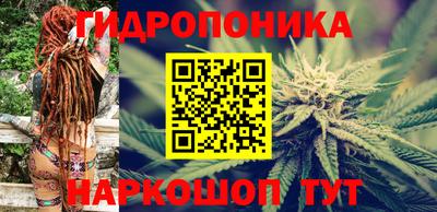 шишки Среднеуральск
