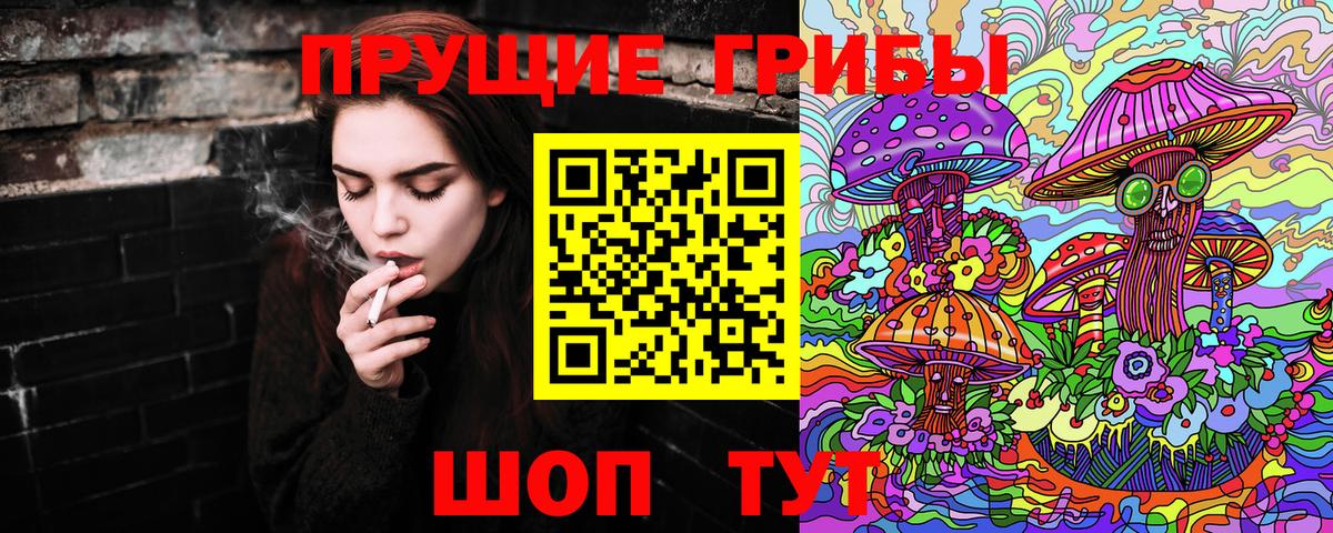 Псилоцибиновые грибы Psilocybe Сухой Лог